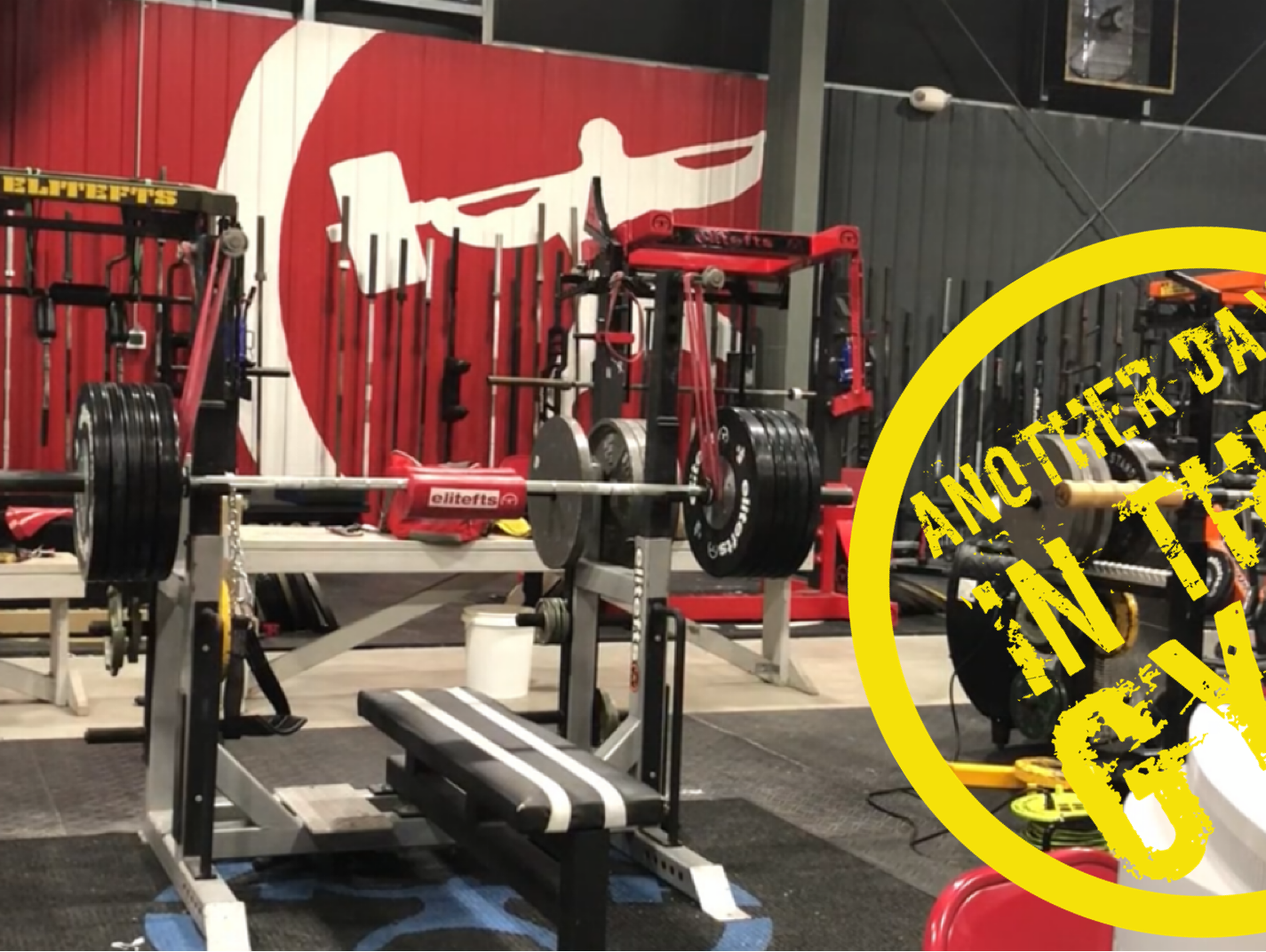 Another Day In The Gym