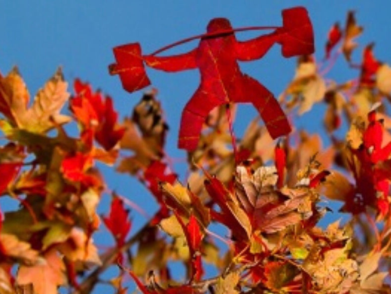 A Lumberjack, a Farmer, and a Stoner Walk into a Bar...