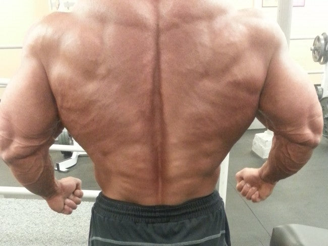Primary Back Training