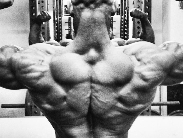 Back Workout