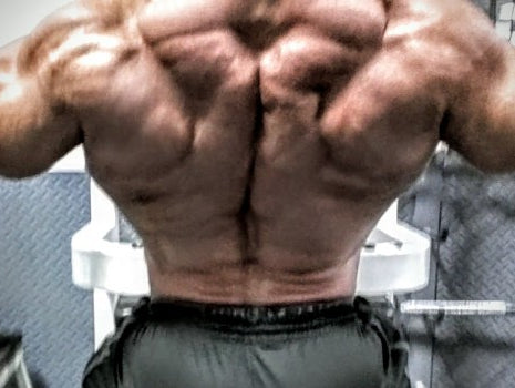 Back & Biceps