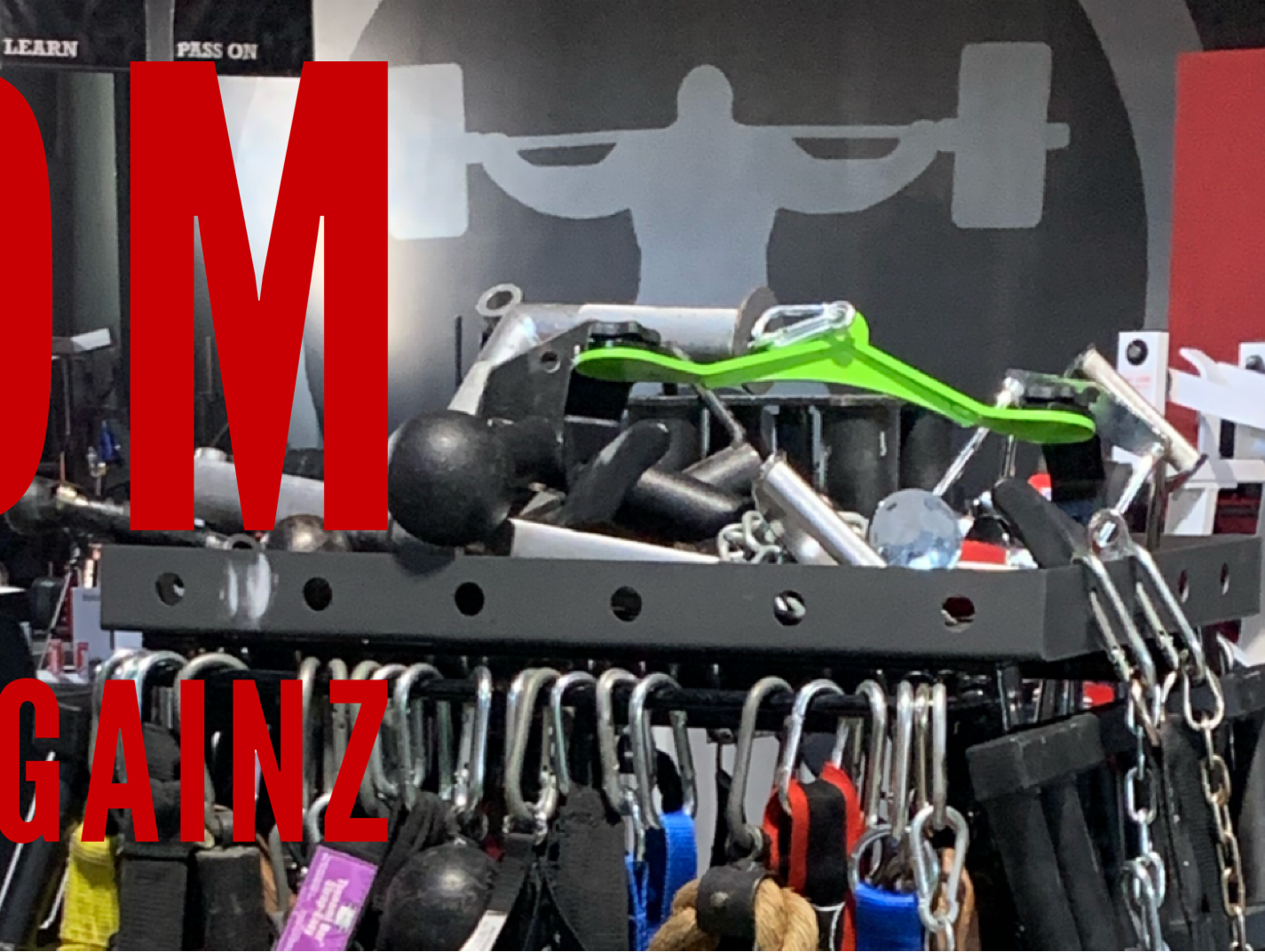 From My Instagram DM's