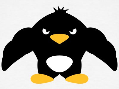 On the Mend: Back recovery and training Day 1