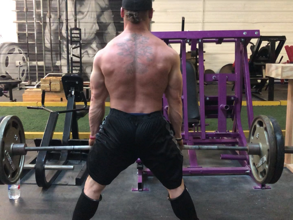 On the Mend: Wk 2 Day 3 attempting deadlifts