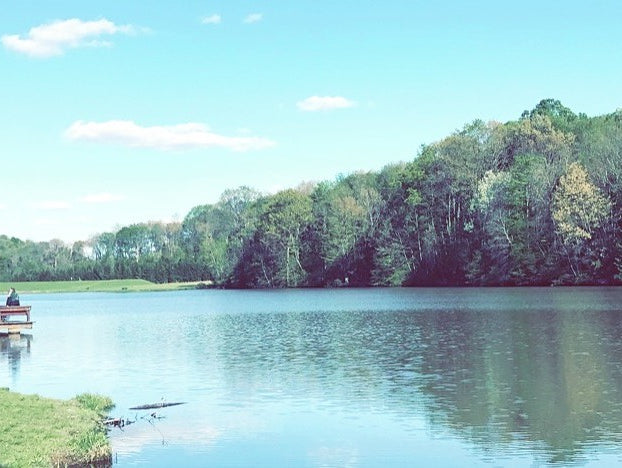 Growth, Insight, and All of the Happiness