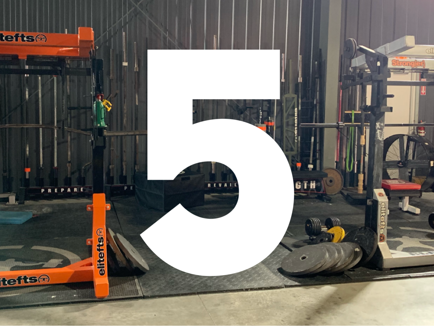 How Can I Train At elitefts? Part 5