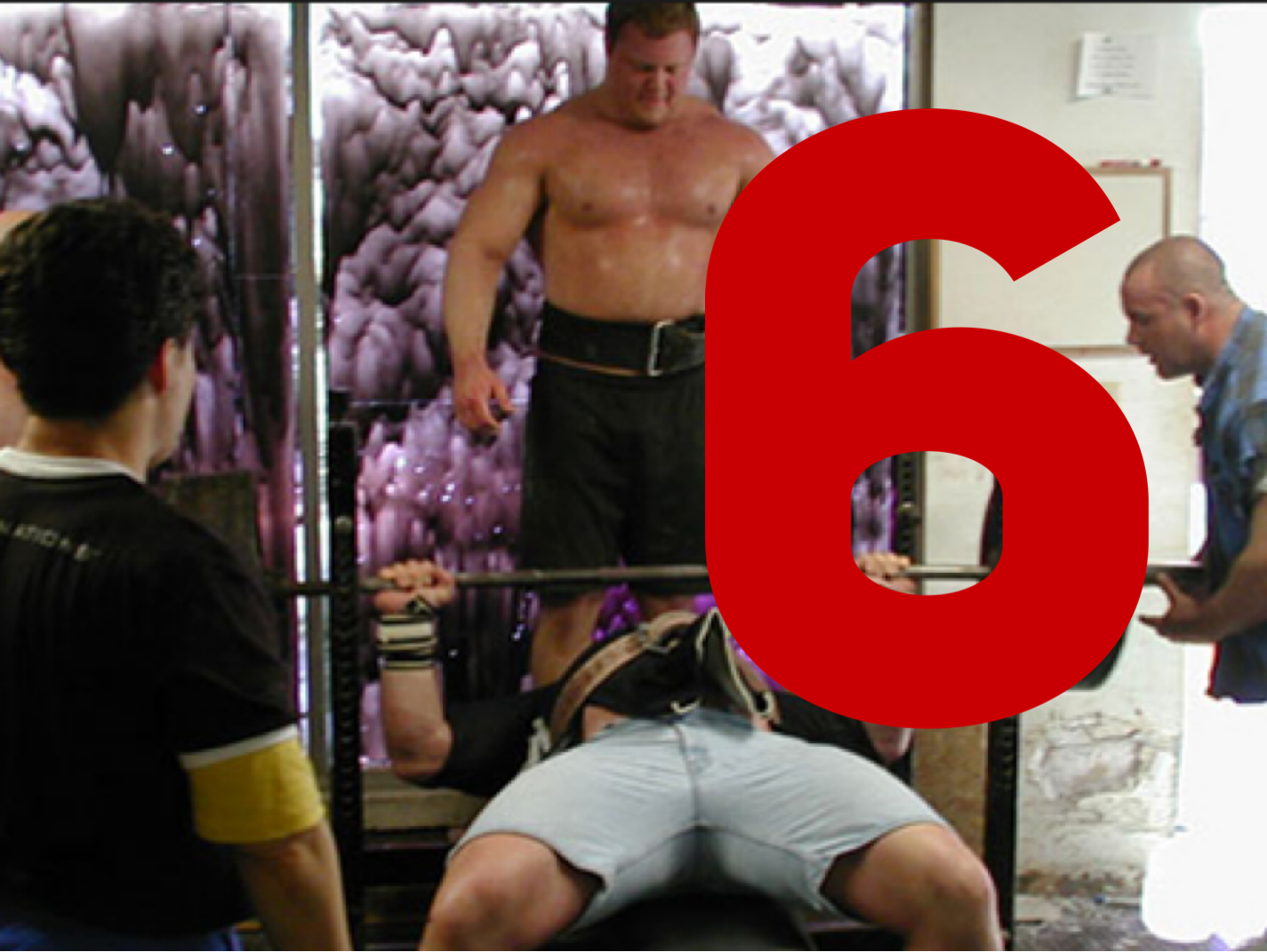 How Can I Train At elitefts? Part 6