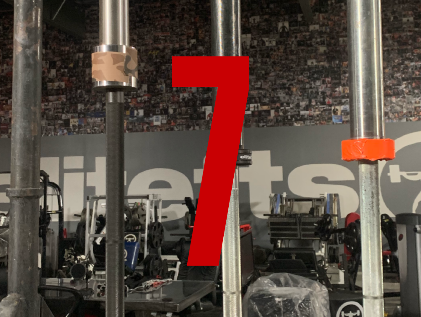 How Can I Train At elitefts? Part 7