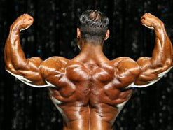 Primary Back Workout
