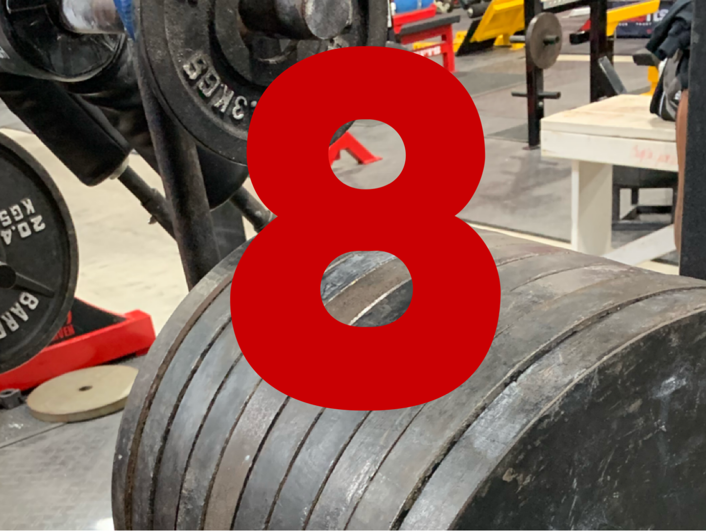 How Can I Train At elitefts? Part 8