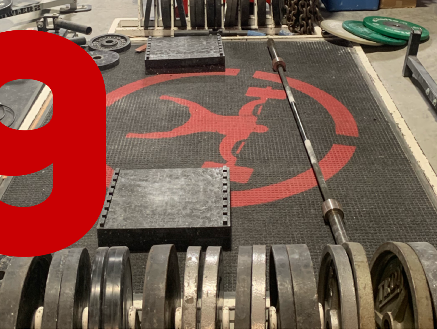 How Can I Train At elitefts? Part 8
