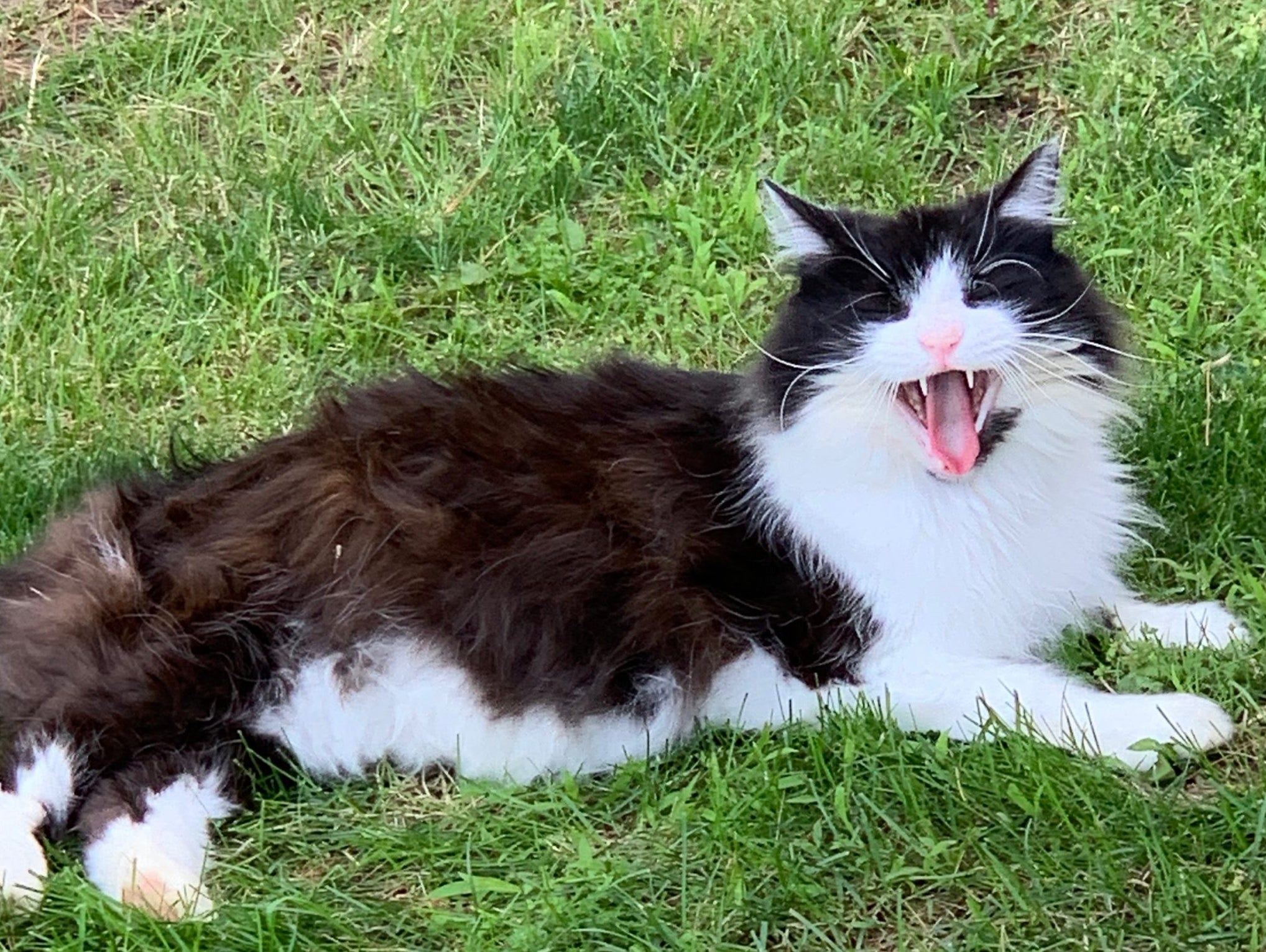 You reap what you sow