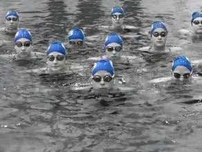 Aquatic Bulls - Men's and Women's Swimming Fall Training Block- Phase 1