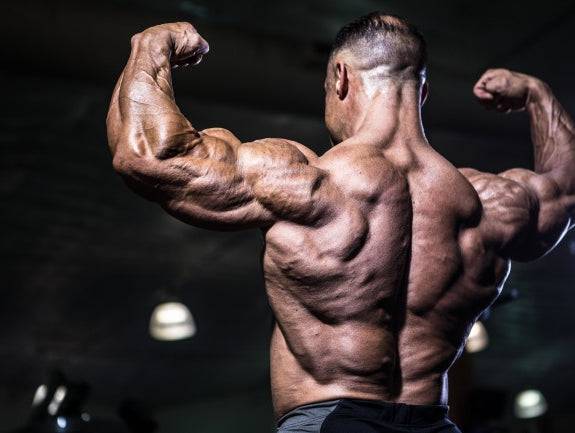 Back & Biceps
