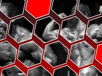 Integrative Bodybuilding: Unnatural Acts of Dietary Supplementation