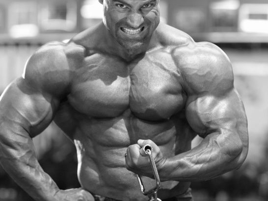 Primary Chest & Shoulders