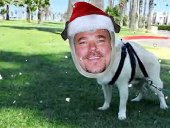 A Barnyard Christmas
