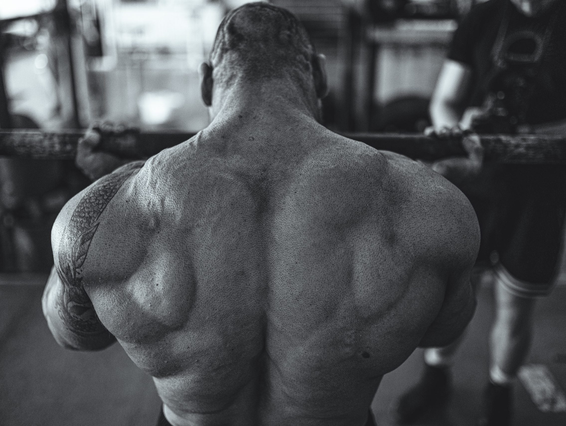 Seal Rows for Size and Strength