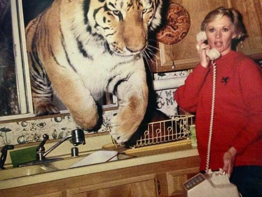 Legs and Daddy Daughter Dance