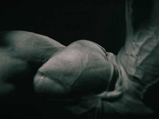 biceps