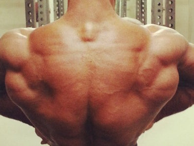 Bodybuilding Day: Smorgasbord of Training
