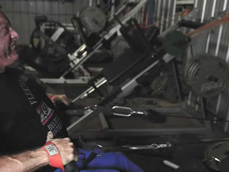 Your Guide to a Mountain Dog Back