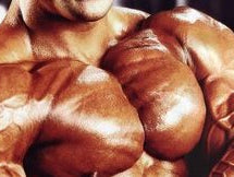 Secondary Chest & Shoulders