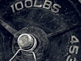 The Power of the Pack: Your Guide to Survival