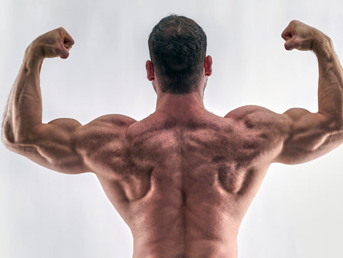 My First Bodybuilding Show!