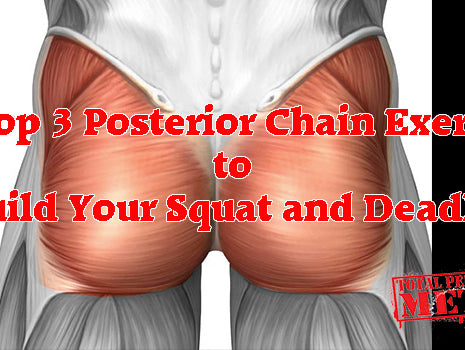 CJ Murphy, elitefts, glutes, hamstrings, lower back, posterior chain, ghr, keystone, deadlift, squat