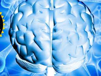 Strong Mind: Park It