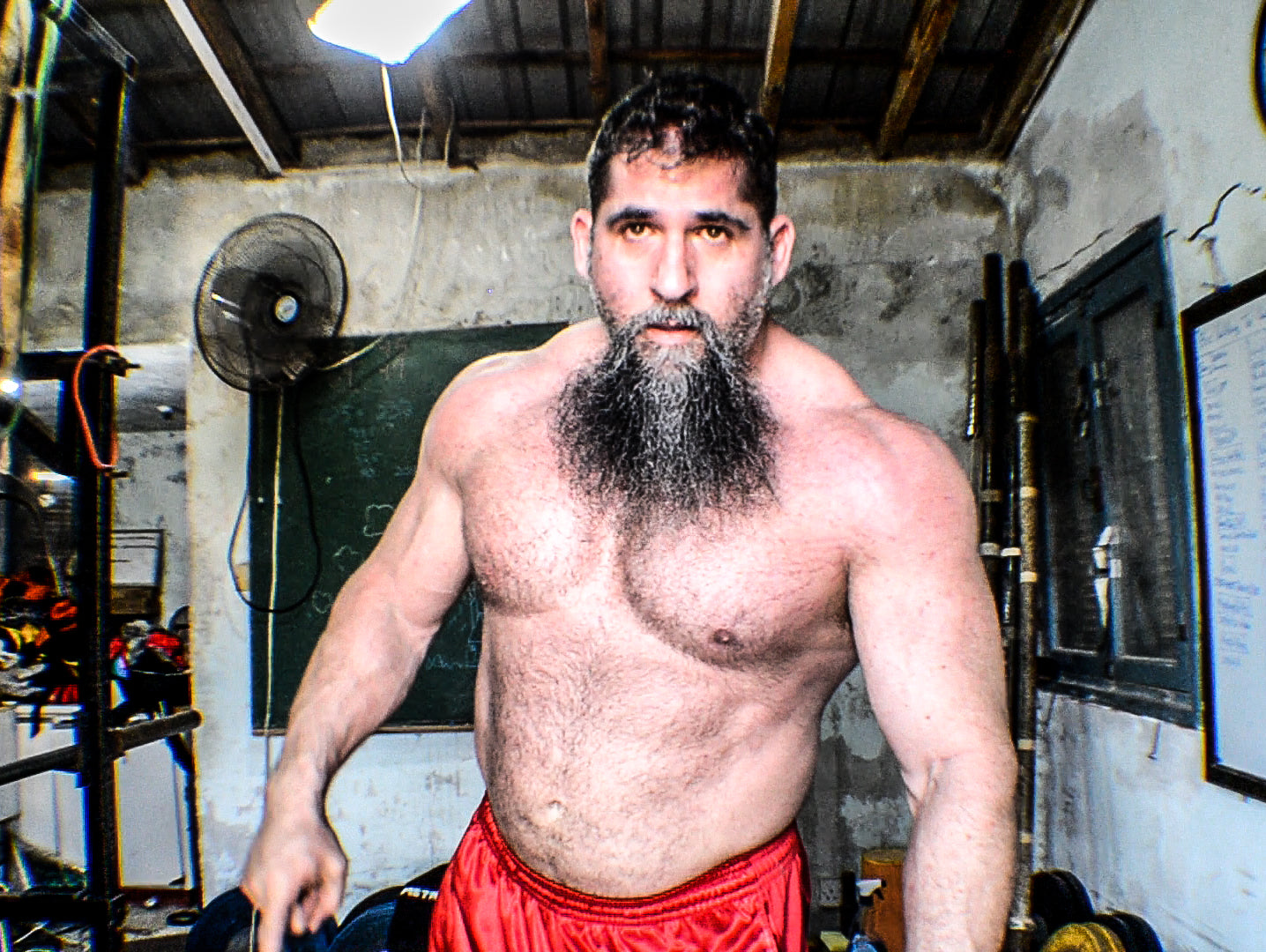 Nemesis Program 1 Week 12