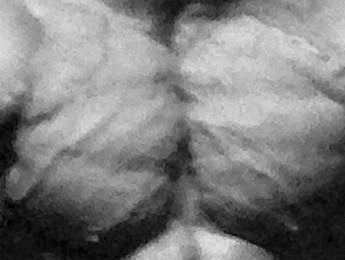 Bodybuilder Nutrition Roundtable