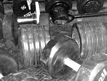 Opening Your Athletic Training Facility An EliteFTS Roundtable Discussion