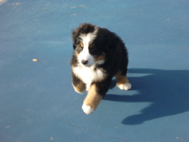 Tuesday Part II Conditioning