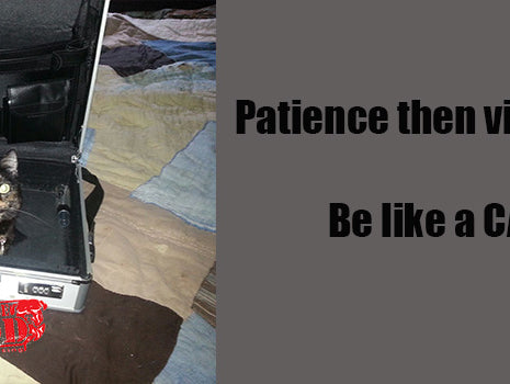 patience, violence, powerlifting, bands, chians, CJ Murphy, elitefts, elitefts.com, tpsmethod.com, accomodating resistance, fred hatfield;