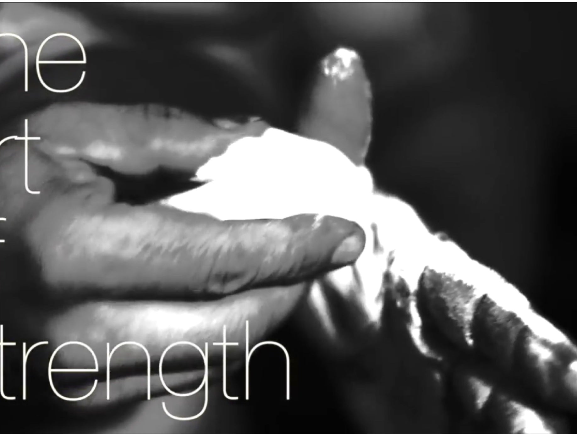The Art Of Strength - Video