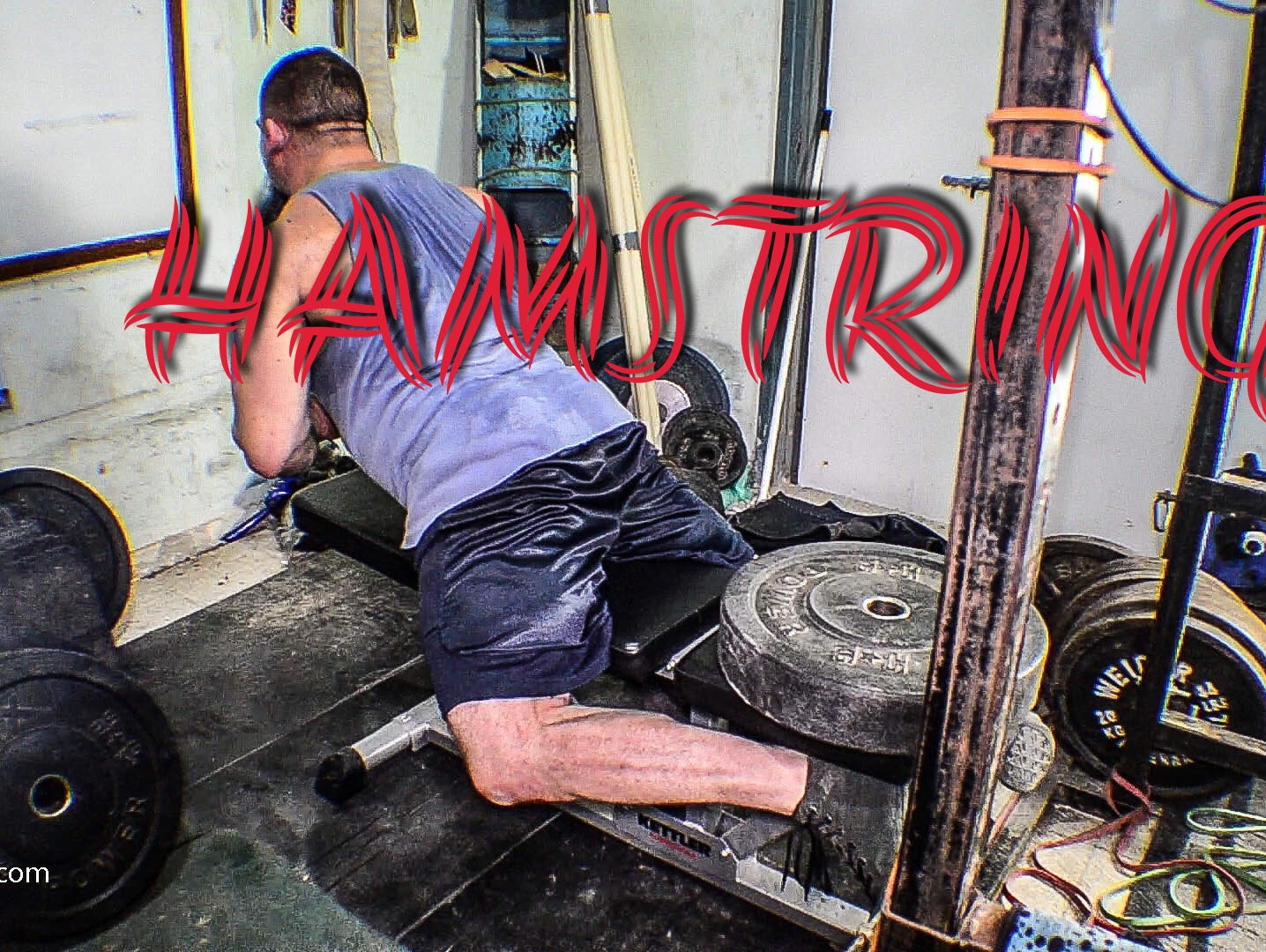 Bench Hamstring Curls
