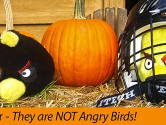 They are NOT Angry Birds (Part 2.2)