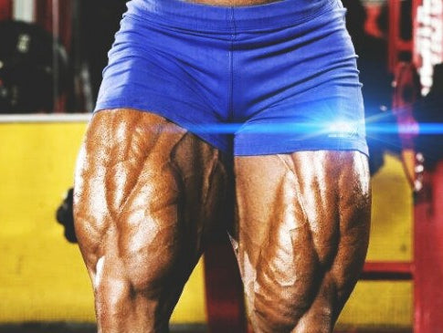 Primary Legs