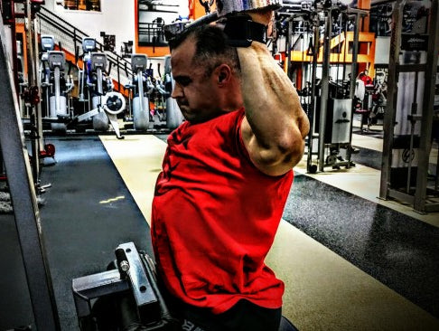 Primary Back & Biceps