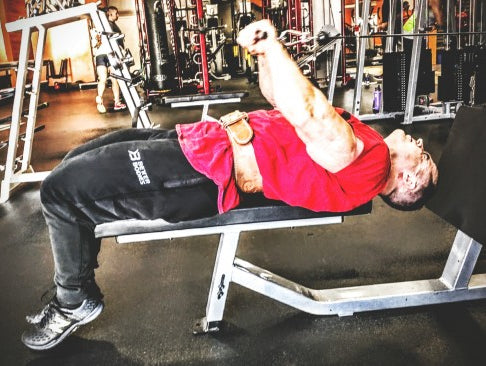 Back and Biceps (primary workout)