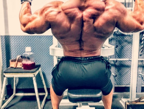 Primary Back & Biceps