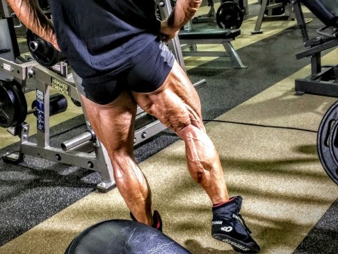 Primary Legs