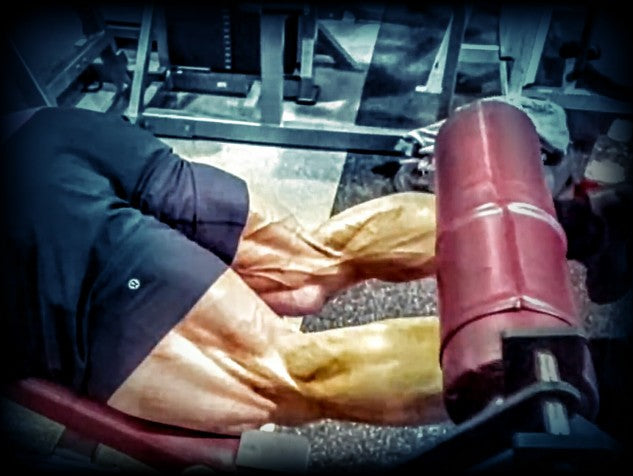 Primary/Base Leg Day