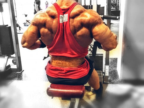 Monday Night's Back & Biceps