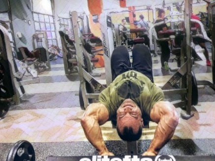 Back & Biceps