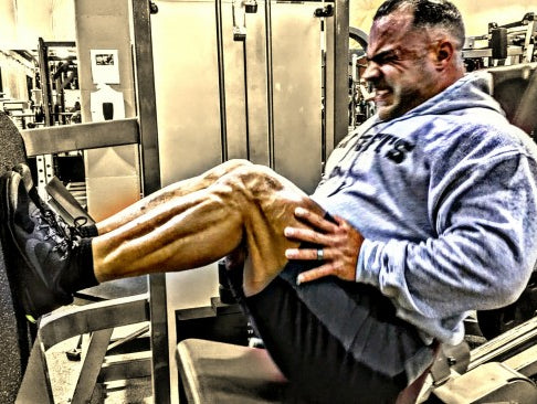Primary Legs