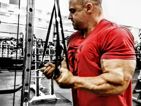 Chest, Triceps, Abdominal and Calve Training