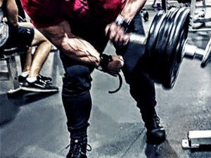 Back & Biceps (primary workout)